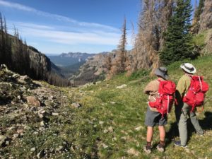 Two adult hikers with red backpacks and wide-brimmed hats take in the grandeur of a mountain vista while yellow flowers bloom in the sparse grass and wispy white clouds trail across a deep blue sky.